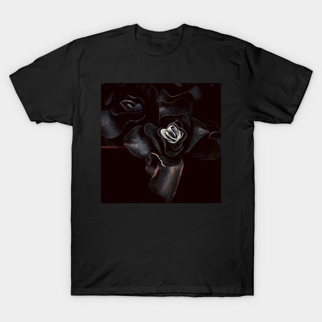 Black Rose T-Shirt by Nature-Arts